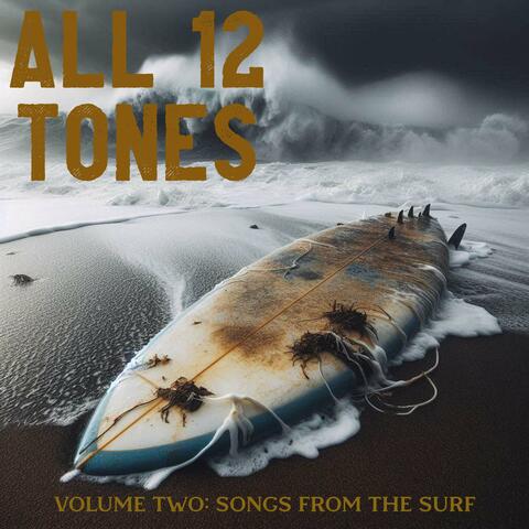 VOLUME TWO: SONGS FROM THE SURF