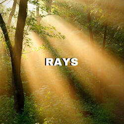 Rays
