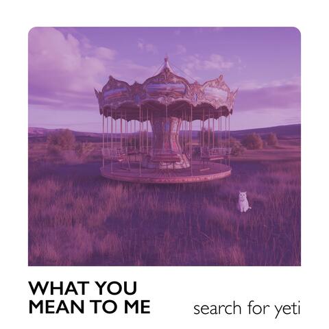 What You Mean To Me