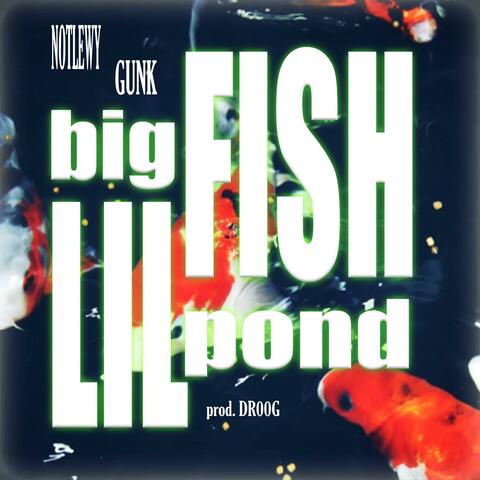 BIG FISH LIL POND (feat. GunK)