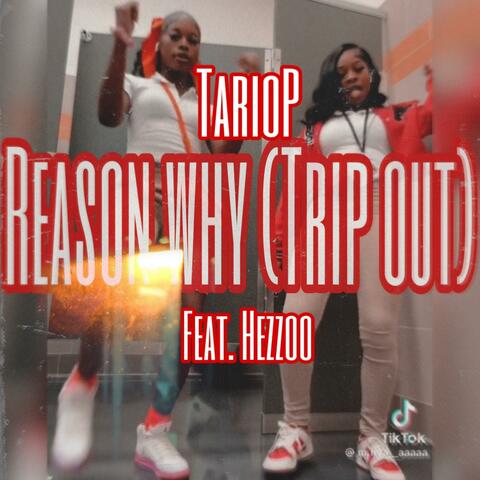 Reason Why (feat. Hezzoo) [Trip Out]