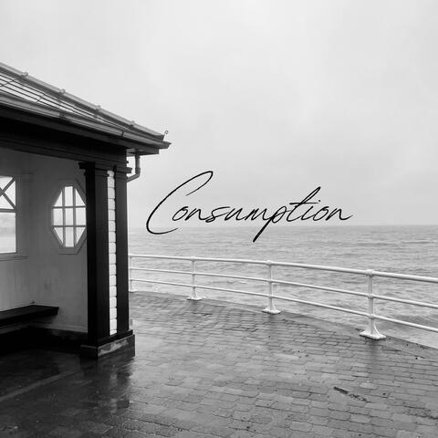 Consumption