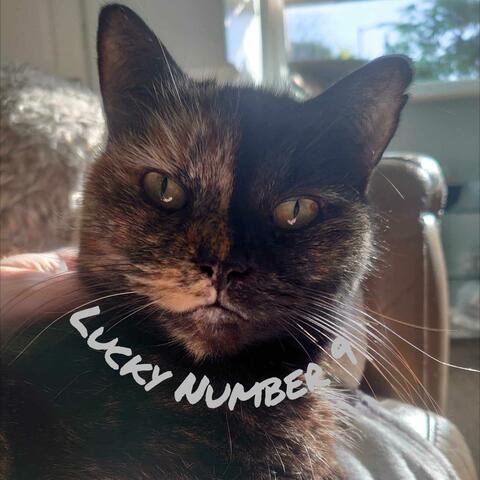 Lucky Number 9