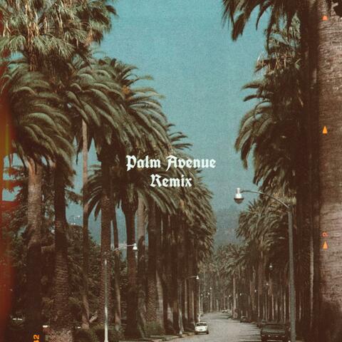 PALM AVENUE (feat. Harry M.) [Remix]