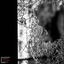 It's Messed Up (feat. Jay Harmony) (Radio Edit)
