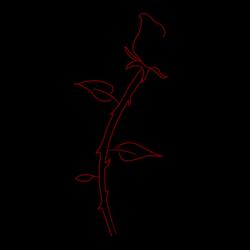 Something New (Acoustic)