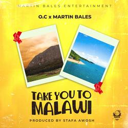 Take You To Malawi (feat. O.C)