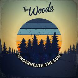 Underneath the Sun (Radio Edit)