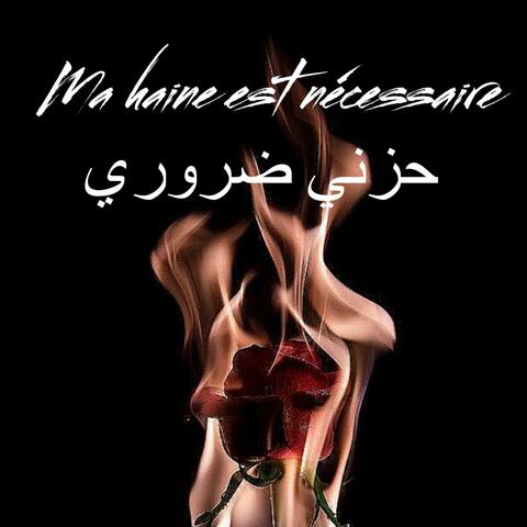 Ma haine est nécessaire || حزني ضروري