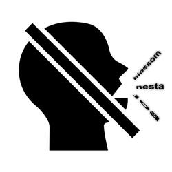 silencio (feat. nesta & 8joa)