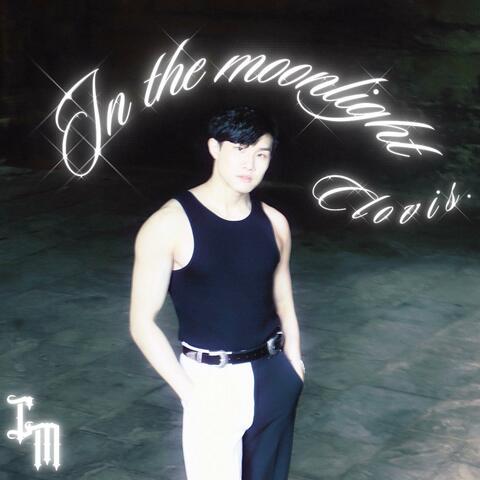 In the moonlight