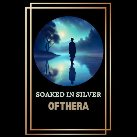 Soaked In Silver