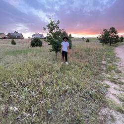 What it could've been?