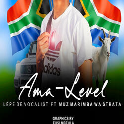 AMa-Level (feat. Muz marimba WA strata) (Radio Edit)