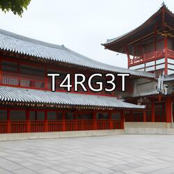 T4RG3T