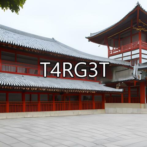 T4RG3T