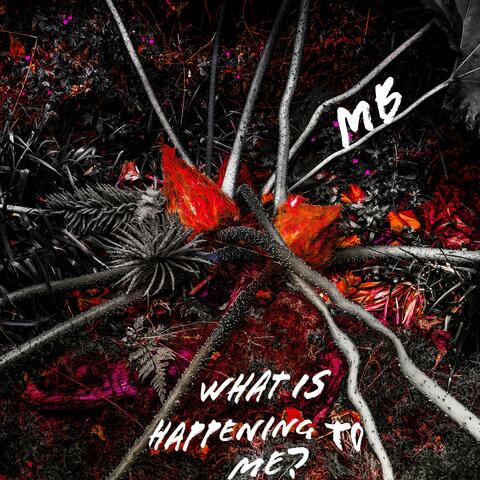 What Is Happening To Me?