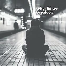 Why Did We Break Up