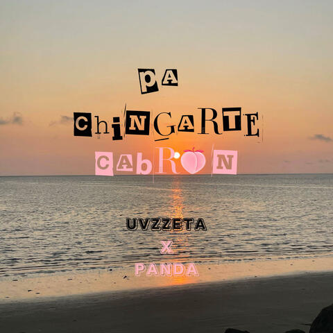 Pa Chingarte Cabrón (feat. Panda Pant)