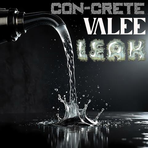 Leak (feat. Valee)