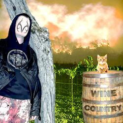 Wine Country (feat. swotl)