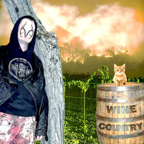 Wine Country (feat. swotl)