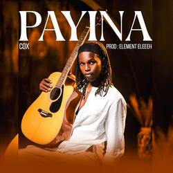 PAYINA