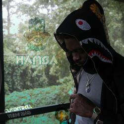 Hamsa (feat. Cool Land)