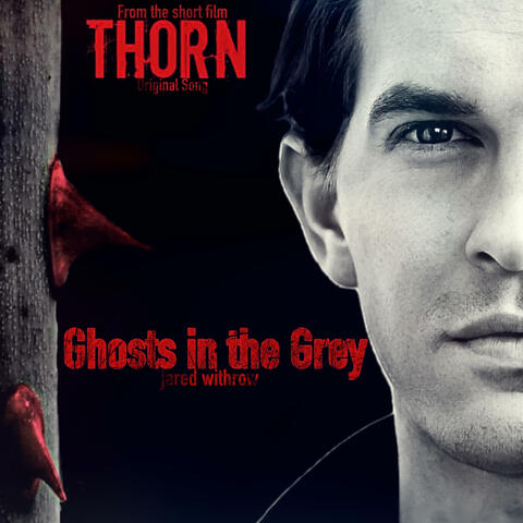 Ghosts in the Grey