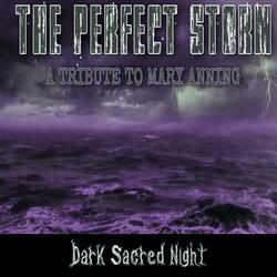 The Perfect Storm (Moonlight Mix)