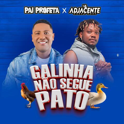 Galinha Não Segue Pato (feat. Pai Profeta)