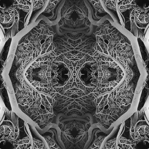 The Pattern