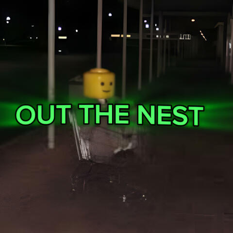 Out The Nest (feat. Dante Brambilla)