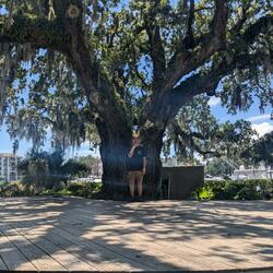 Cant help but still feel