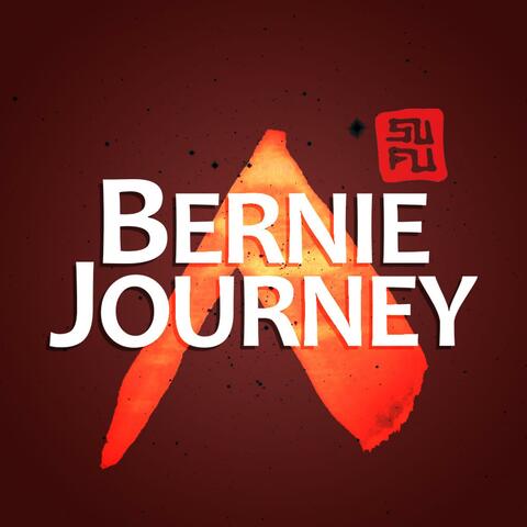 The Bernie Journey