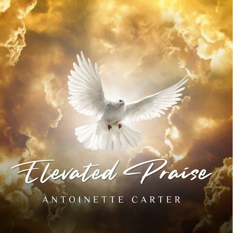 Elevated Praise