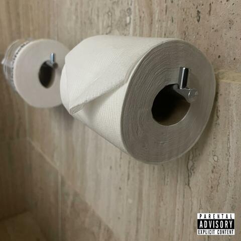 Toilet Paper Origami