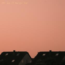 the morning sun