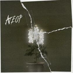 Triste chamarra vieja