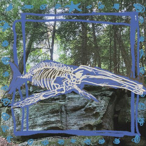 Whale Fall