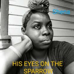 Shena's(his Eyes on the Sparrow)