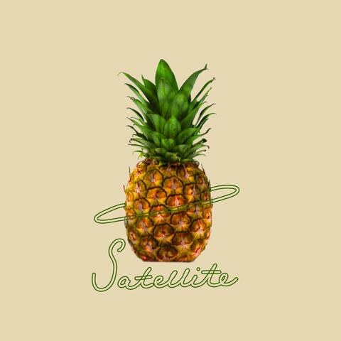 Satellite