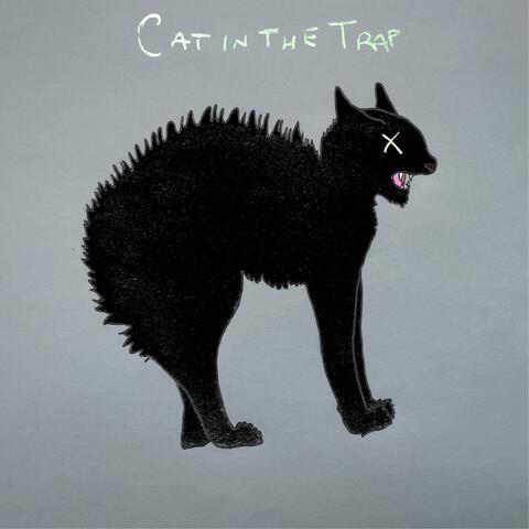 cat in the trap