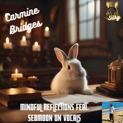 Mindful Reflections (feat. sebmoon)