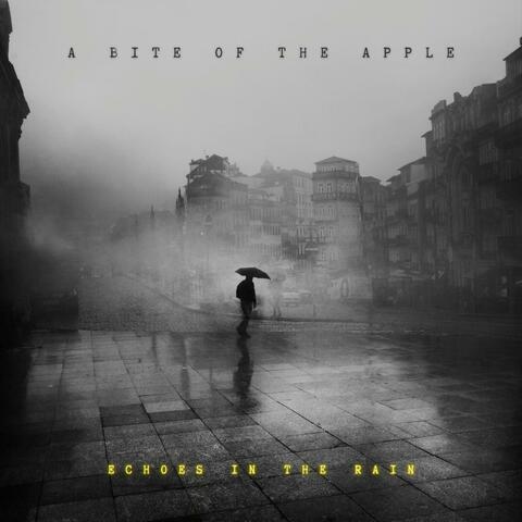 Echoes In The Rain