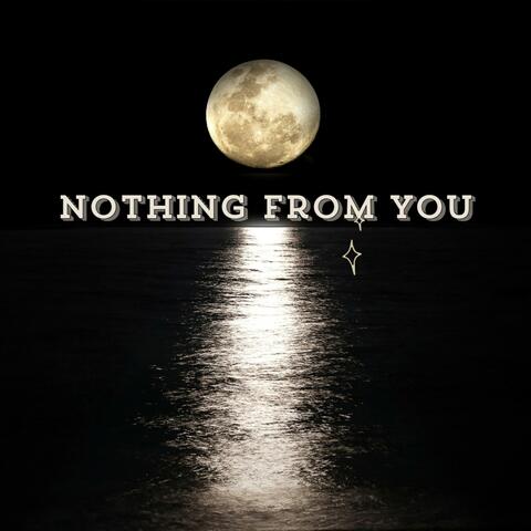 Nothing From You