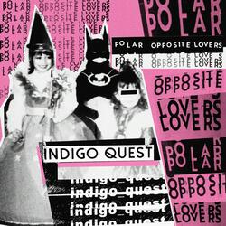 Polar Opposite Lovers