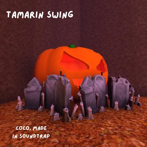 Tamarin Swing