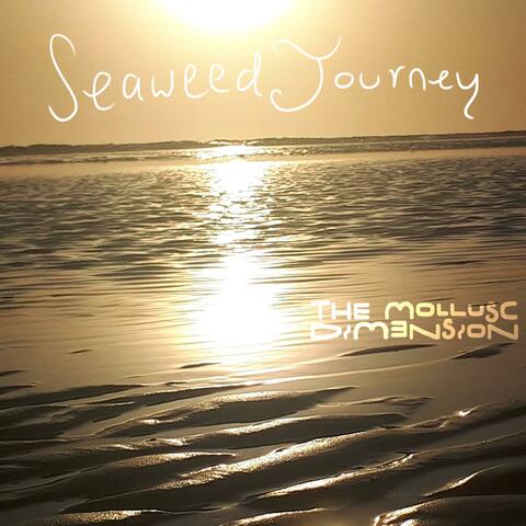 Seaweed Journey