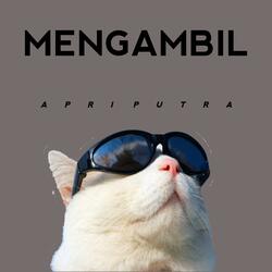 KAU MENGAMBIL HATIKU